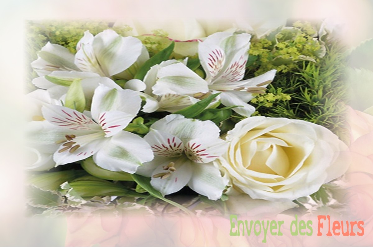 envoyer des fleurs à à VILLIERS-SUR-YONNE